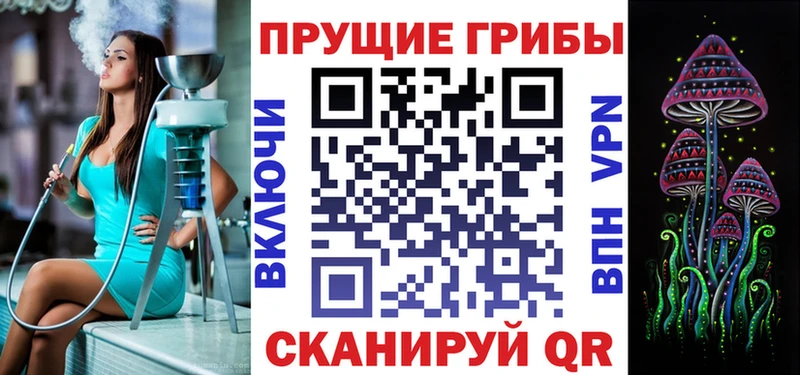 Галлюциногенные грибы GOLDEN TEACHER  Купить закладки  Шебекино 